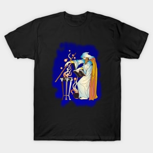 Wizard at Work T-Shirt